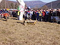 Натиснете снимката за да я уголемите

Име:Picture 002.jpg
Прегледи:182
Размер:119.2 КБ
ID:5031638