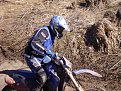 Натиснете снимката за да я уголемите

Име:Picture 049.jpg
Прегледи:189
Размер:107.4 КБ
ID:5031646