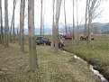 Натиснете снимката за да я уголемите

Име:IMG_0926.JPG
Прегледи:115
Размер:126.6 КБ
ID:5031724