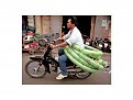 Натиснете снимката за да я уголемите

Име:From Metacafe - Masters of Transportation and Logistics #23.jpg
Прегледи:129
Размер:75.8 КБ
ID:5031755