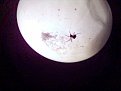 Натиснете снимката за да я уголемите

Име:Spider.jpg
Прегледи:750
Размер:49.8 КБ
ID:5031797
