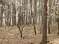 Натиснете снимката за да я уголемите

Име:duel02.jpg
Прегледи:127
Размер:97.6 КБ
ID:5031846