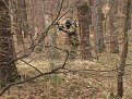 Натиснете снимката за да я уголемите

Име:duel03.jpg
Прегледи:142
Размер:75.2 КБ
ID:5031847