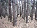 Натиснете снимката за да я уголемите

Име:duel06.jpg
Прегледи:120
Размер:88.6 КБ
ID:5031848