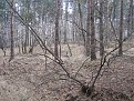 Натиснете снимката за да я уголемите

Име:duel07.jpg
Прегледи:121
Размер:98.1 КБ
ID:5031849