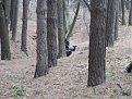 Натиснете снимката за да я уголемите

Име:duel12.jpg
Прегледи:130
Размер:66.3 КБ
ID:5031852