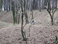 Натиснете снимката за да я уголемите

Име:duel14.jpg
Прегледи:120
Размер:72.7 КБ
ID:5031853