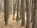 Натиснете снимката за да я уголемите

Име:duel20.jpg
Прегледи:134
Размер:76.2 КБ
ID:5031856