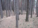 Натиснете снимката за да я уголемите

Име:duel21.jpg
Прегледи:126
Размер:79.3 КБ
ID:5031857