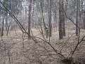 Натиснете снимката за да я уголемите

Име:duel25.jpg
Прегледи:127
Размер:96.2 КБ
ID:5031861