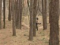 Натиснете снимката за да я уголемите

Име:duel29.jpg
Прегледи:127
Размер:57.0 КБ
ID:5031865