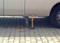 Натиснете снимката за да я уголемите

Име:mechanic.jpg
Прегледи:131
Размер:34.3 КБ
ID:5032029