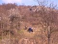 Натиснете снимката за да я уголемите

Име:Picture 129.jpg
Прегледи:122
Размер:117.0 КБ
ID:5032128