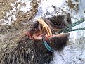 Натиснете снимката за да я уголемите

Име:23122006065.jpg
Прегледи:199
Размер:190.5 КБ
ID:5032178