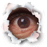 Натиснете снимката за да я уголемите

Име:Eye.gif
Прегледи:1831
Размер:10.4 КБ
ID:5032188