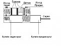 Натиснете снимката за да я уголемите

Име:Spirachki.jpg
Прегледи:1279
Размер:36.9 КБ
ID:5032543