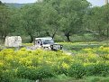 Натиснете снимката за да я уголемите

Име:IMGP4567.jpg
Прегледи:133
Размер:225.4 КБ
ID:5033165