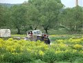 Натиснете снимката за да я уголемите

Име:IMGP4569.jpg
Прегледи:138
Размер:181.2 КБ
ID:5033167