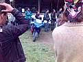 Натиснете снимката за да я уголемите

Име:Снимка(3).jpg
Прегледи:222
Размер:142.6 КБ
ID:5033231