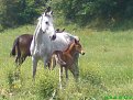 Натиснете снимката за да я уголемите

Име:DSC00304.JPG
Прегледи:152
Размер:118.9 КБ
ID:5034859