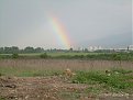 Натиснете снимката за да я уголемите

Име:DSCN1542.jpg
Прегледи:227
Размер:111.6 КБ
ID:5035371