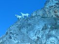 Натиснете снимката за да я уголемите

Име:IMG_1902.jpg
Прегледи:282
Размер:105.9 КБ
ID:5035571