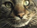 Натиснете снимката за да я уголемите

Име:томи 001.jpg
Прегледи:144
Размер:172.6 КБ
ID:5035677