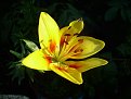Натиснете снимката за да я уголемите

Име:DSCN2103.jpg
Прегледи:145
Размер:65.8 КБ
ID:5036040