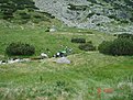 Натиснете снимката за да я уголемите

Име:DSC02209.JPG
Прегледи:236
Размер:71.9 КБ
ID:5036056