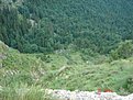 Натиснете снимката за да я уголемите

Име:DSC02242.JPG
Прегледи:213
Размер:73.9 КБ
ID:5036080