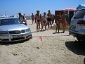 Натиснете снимката за да я уголемите

Име:Picture_137.jpg
Прегледи:147
Размер:174.9 КБ
ID:5036186