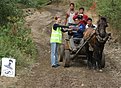 Натиснете снимката за да я уголемите

Име:pic 288.jpg
Прегледи:141
Размер:175.2 КБ
ID:5036850