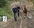 Натиснете снимката за да я уголемите

Име:pic 302.jpg
Прегледи:121
Размер:182.0 КБ
ID:5036851
