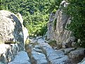 Натиснете снимката за да я уголемите

Име:DSCN2534.jpg
Прегледи:124
Размер:282.2 КБ
ID:5037111