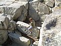 Натиснете снимката за да я уголемите

Име:DSCN2550.jpg
Прегледи:111
Размер:262.3 КБ
ID:5037121