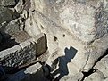 Натиснете снимката за да я уголемите

Име:DSCN2551.jpg
Прегледи:111
Размер:251.3 КБ
ID:5037122