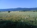 Натиснете снимката за да я уголемите

Име:DSC00579.jpg
Прегледи:174
Размер:145.9 КБ
ID:5037249