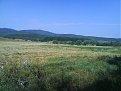 Натиснете снимката за да я уголемите

Име:DSC00580.jpg
Прегледи:166
Размер:137.9 КБ
ID:5037250