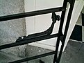 Натиснете снимката за да я уголемите

Име:12345IMAG0209.jpg
Прегледи:155
Размер:129.7 КБ
ID:5037318