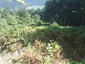 Натиснете снимката за да я уголемите

Име:DSC04000.jpg
Прегледи:174
Размер:197.4 КБ
ID:5037461
