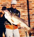 Натиснете снимката за да я уголемите

Име:fish.jpg
Прегледи:432
Размер:65.4 КБ
ID:5037552