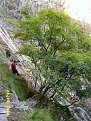 Натиснете снимката за да я уголемите

Име:SV400814.jpg
Прегледи:250
Размер:164.5 КБ
ID:5037594