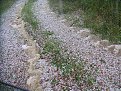 Натиснете снимката за да я уголемите

Име:PICT0521.jpg
Прегледи:241
Размер:296.5 КБ
ID:5037708