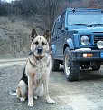 Натиснете снимката за да я уголемите

Име:HPIM2641.JPG
Прегледи:210
Размер:241.7 КБ
ID:5037749