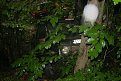 Натиснете снимката за да я уголемите

Име:pic 21244-enee.jpg
Прегледи:226
Размер:94.9 КБ
ID:5037863