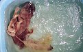 Натиснете снимката за да я уголемите

Име:c_5.jpg
Прегледи:289
Размер:51.3 КБ
ID:5039013