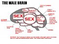 Натиснете снимката за да я уголемите

Име:brain-male.jpg
Прегледи:116
Размер:36.2 КБ
ID:5039850