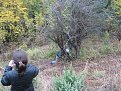 Натиснете снимката за да я уголемите

Име:IMG_1396.jpg
Прегледи:147
Размер:267.4 КБ
ID:5039901