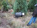 Натиснете снимката за да я уголемите

Име:IMG_1415.jpg
Прегледи:162
Размер:227.9 КБ
ID:5039920