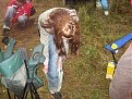 Натиснете снимката за да я уголемите

Име:IMG_1421.jpg
Прегледи:313
Размер:177.5 КБ
ID:5039925